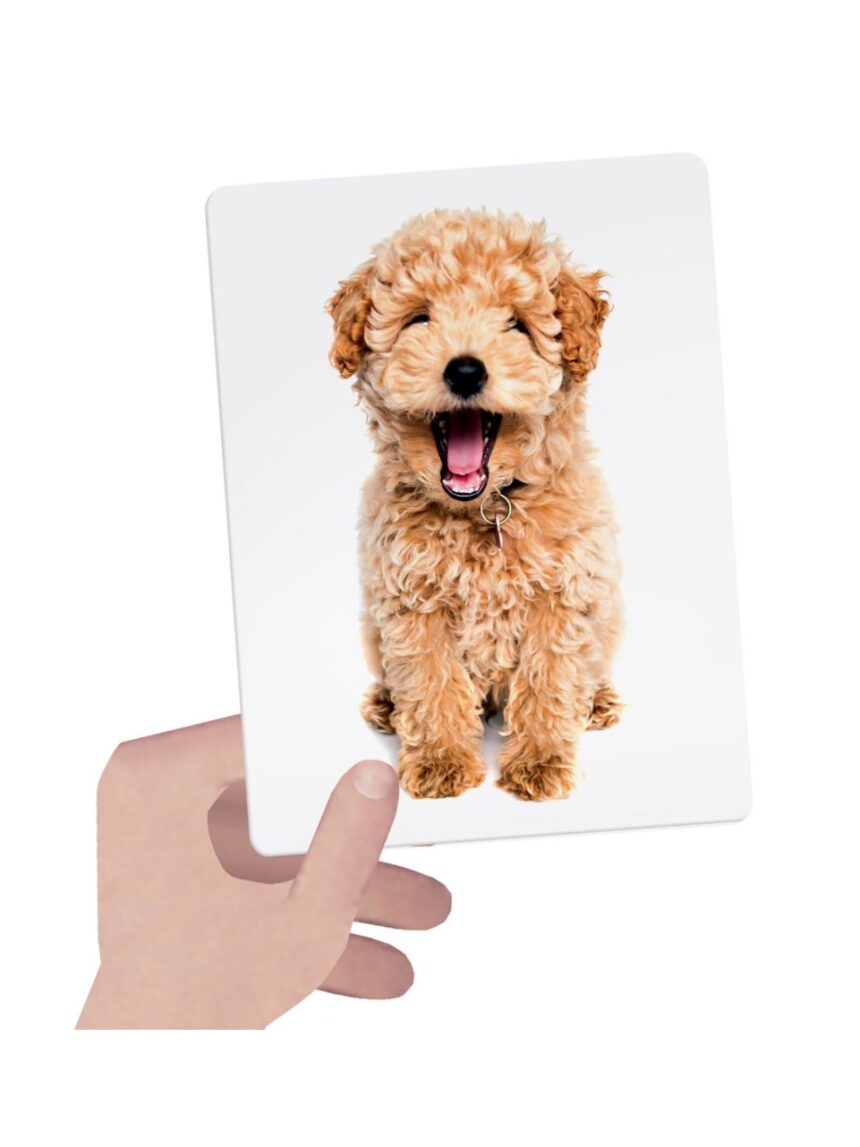 Flashcards tactile montessori. osserva tocca e senti! 1/4 anni - headu - Headu